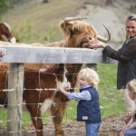 Queenstown: Queenstown Lake Cruise and Walter Peak Farm Tour - The Farm Visit: A Genuine Taste of Kiwi Life