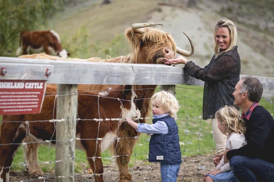 Queenstown: Queenstown Lake Cruise and Walter Peak Farm Tour - The Farm Visit: A Genuine Taste of Kiwi Life