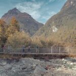Queenstown: Routeburn Track Guided Full-Day Walk or Half Day - What People Say: Authentic Feedback