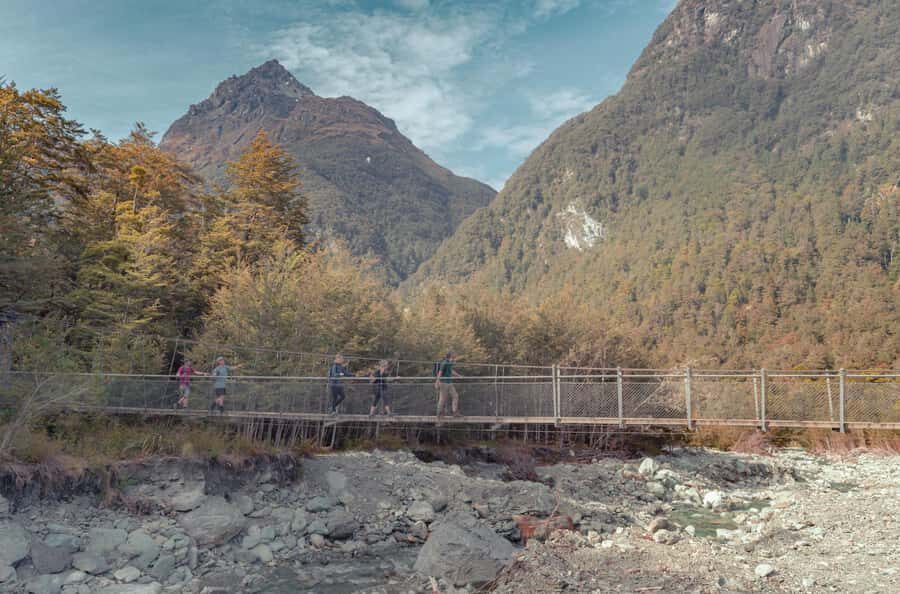 Queenstown: Routeburn Track Guided Full-Day Walk or Half Day - What People Say: Authentic Feedback