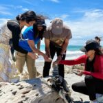 Queenstown to Franz Josef small group tour (one-way) - What’s Included and What’s Not