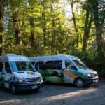 Queenstown to Te Anau via Milford Sound inc Cruise & Lunch - What Makes This Tour Stand Out?