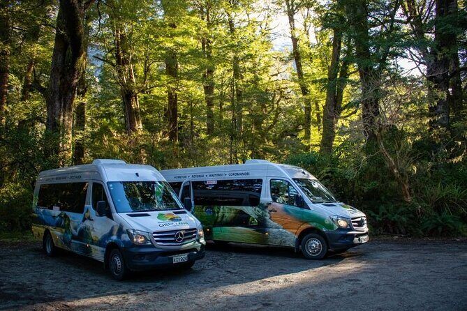 Queenstown to Te Anau via Milford Sound inc Cruise & Lunch - What Makes This Tour Stand Out?