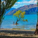Queenstown to Wanaka Small-Group Tour (one-way) - How It Feels to Travel on This Tour