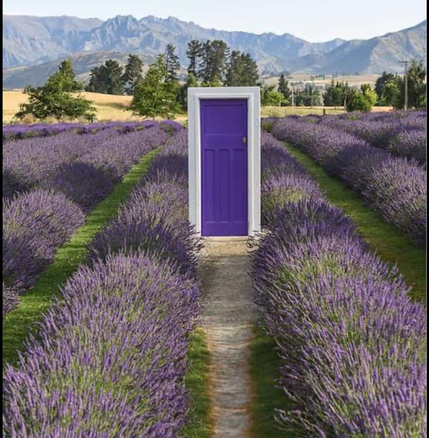 Queenstown: Wanaka & Arrowtown Guided Private Day Tour - An In-Depth Look at the Itinerary