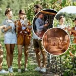 Queenstown Wine Tour - Gibbston Valley Cave | Kinross | Amisfield - The Itinerary: What You’ll Really Experience
