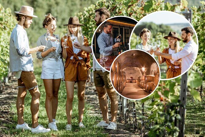 Queenstown Wine Tour - Gibbston Valley Cave | Kinross | Amisfield - The Itinerary: What You’ll Really Experience