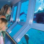 Quicksilver Great Barrier Reef Snorkel Cruise from Port Douglas - The Food and Comforts: What to Expect