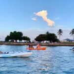 Raby Bay Wildlife Kayak Tour - Practical Details and Logistics