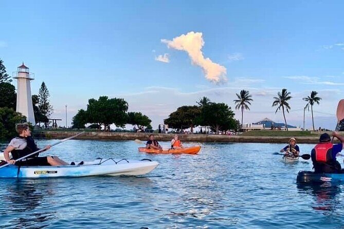 Raby Bay Wildlife Kayak Tour - Practical Details and Logistics