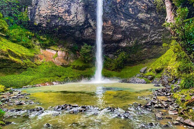 Raglan New Zealand Adventure Tour from Auckland - What We Love and What to Keep in Mind