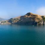 Raglan: Scenic Nature Boat Cruise - What to Expect from the Experience