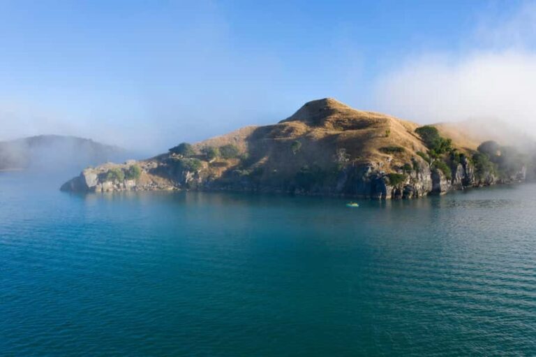 Raglan: Scenic Nature Boat Cruise - What to Expect from the Experience