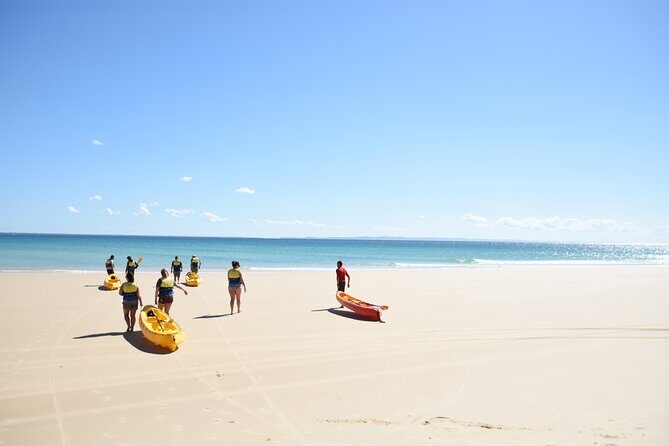 Rainbow Beach: Dolphin & Wildlife Ocean Kayak & Beach 4WD Tour - The Itinerary: What to Expect from Start to Finish