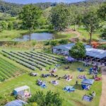 Rainbow Beach Private Tour with Lunch, Carlo Sandblow & Cooloola - What Makes This Tour Stand Out