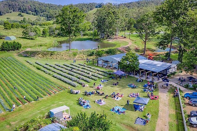 Rainbow Beach Private Tour with Lunch, Carlo Sandblow & Cooloola - What Makes This Tour Stand Out