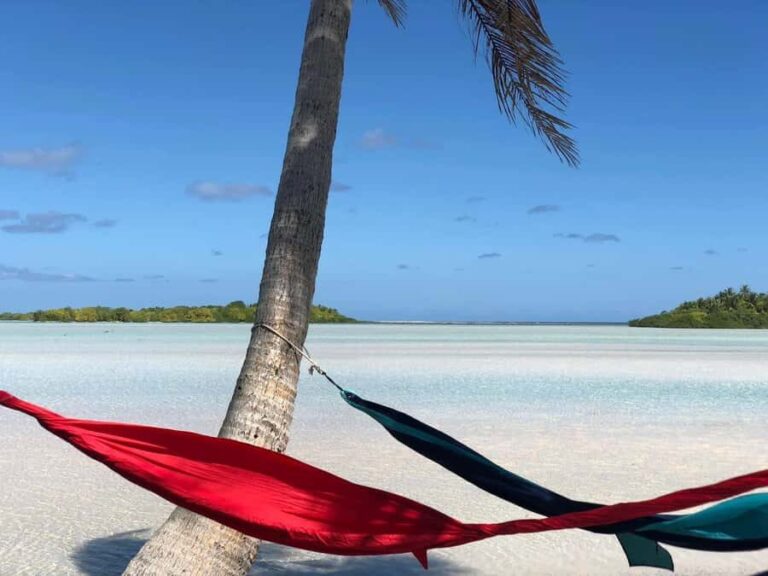 Rangiroa: Blue Lagoon Tiputa Pass Coral Garden Island Birds - Analyzing the Value