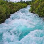 Redwood Forest , Blue Springs & Huka Falls Day Tour from Auckland - Who Would Love This Tour?