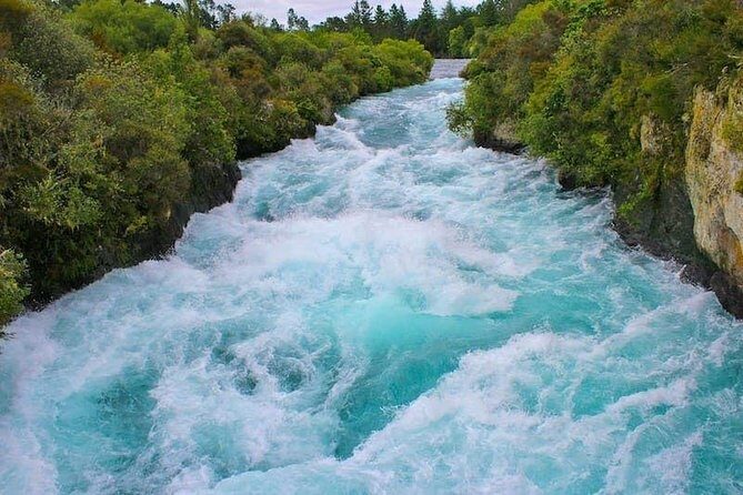 Redwood Forest , Blue Springs & Huka Falls Day Tour from Auckland - Who Would Love This Tour?