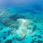 Reef and Rainforest 60 minute Scenic Flight - Why It’s Worth the Price