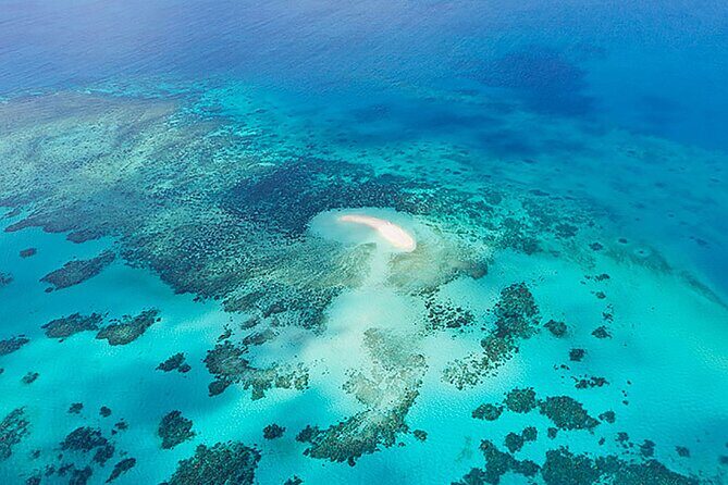 Reef and Rainforest 60 minute Scenic Flight - Why It’s Worth the Price