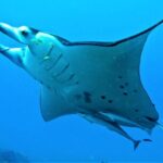 Reef Discovery Half Day Group Signature Tour - Who Will Love This Tour?