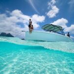 Reef Discovery Luxury Water Lunch Cruise - Who Will Love This Tour?
