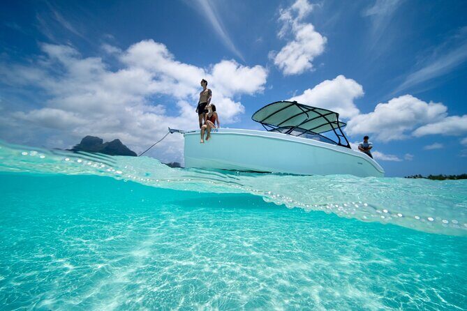 Reef Discovery Luxury Water Lunch Cruise - Who Will Love This Tour?