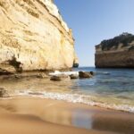 Reimagined Great Ocean Road 1-Day Tour from Melbourne - The Practical Side