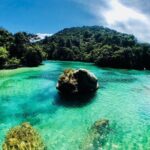 Remote Marine Reserve - Guided Kayaking - New Zealand - The Sum Up