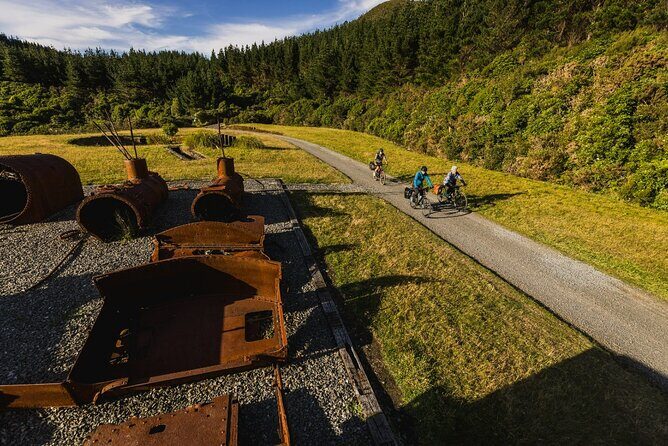 Remutaka Rail Trail Explorer - eBike Cruise Ship Shore Excursion - What to Expect From the Equipment and Riding Experience