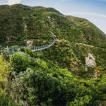 Remutaka Rail Trail- Wellington eBike Cruise Ship Shore Excursion - An In-Depth Look at the Experience