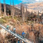 Ride Queenstowns Stunning Trails on a Mountain Bike - Why This Tour Offers Great Value