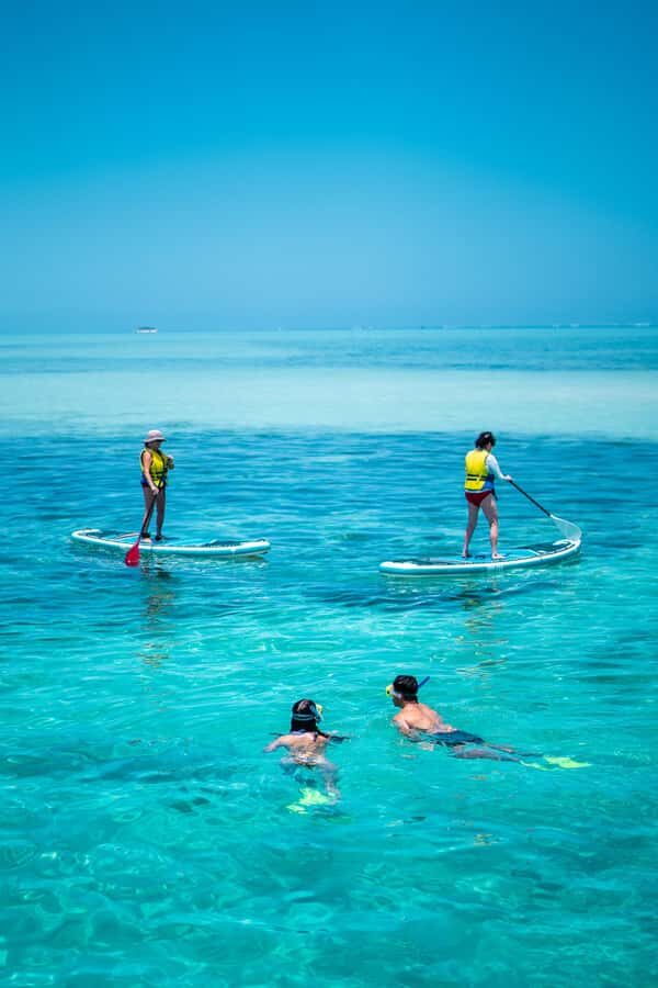 Ride & Slide by South Sea Cats - Half Day Snorkelling Trip - A Closer Look at the Experience