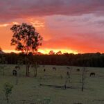 Rise and Shine 75 Minutes Early Morning Ride - Who Will Love This Ride?