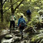 Rob Roy Glacier Guided Walk - Practical Details and Value