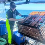 Rockingham: Lobster Catch and Keep Tour with Refreshments - Practical Considerations