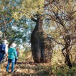Roma: Landscape and Legacy Day Tour Including Lunch - Detailed Review of the Roma Landscape and Legacy Tour