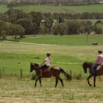 Romantic Horse Trail Ride with Wine and Food in Adelaide Hills - Post-Ride Relaxation and Wine Tasting