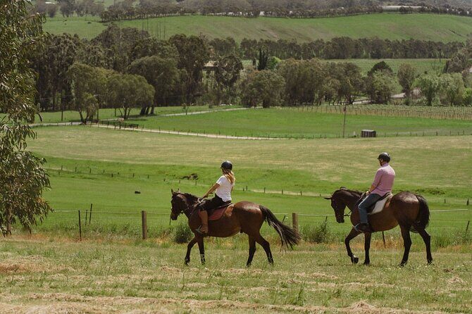 Romantic Horse Trail Ride with Wine and Food in Adelaide Hills - Post-Ride Relaxation and Wine Tasting