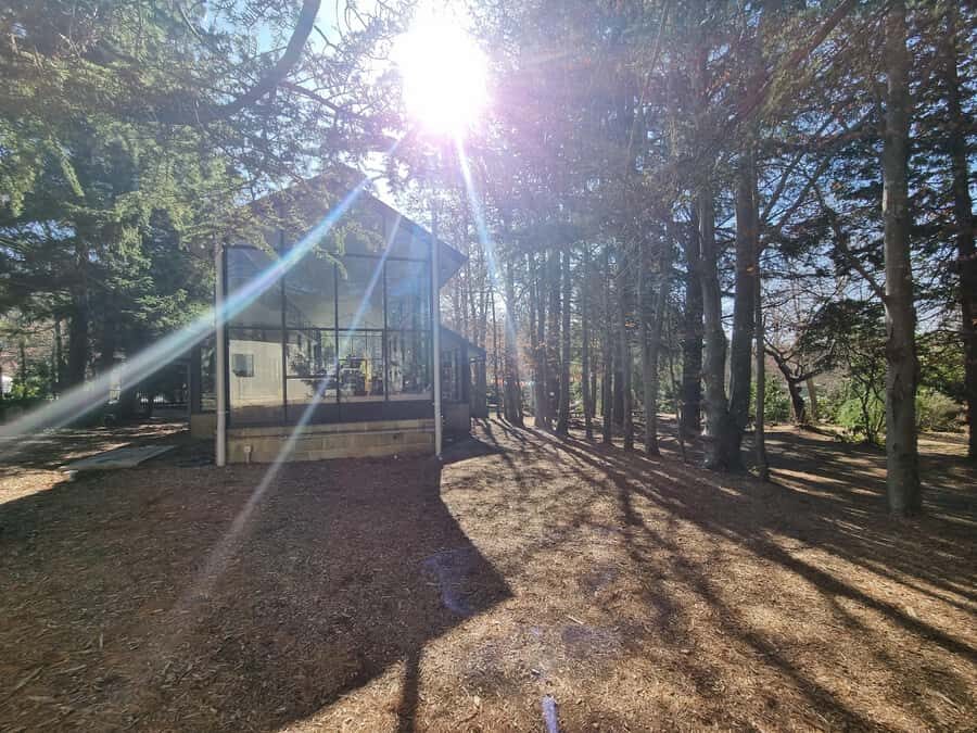 Roos, Blues & Views - Blue Mountains Day Tour w Lunch - What’s Included and What’s Not