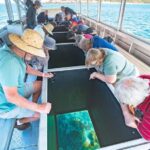 Rosslyn: Great Keppel Island Glass Bottom Boat Tour - Practical Details and Tips