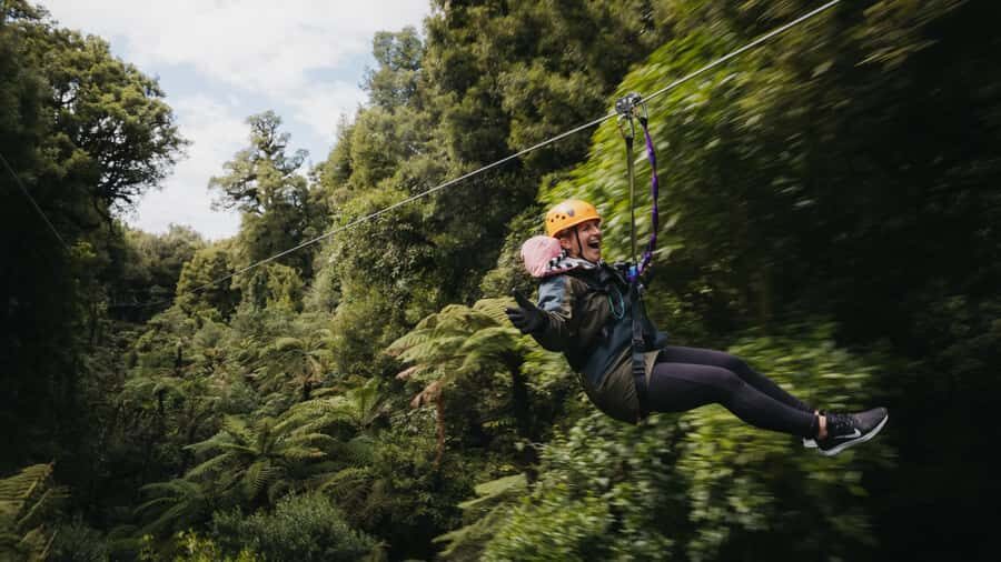 Rotorua: 6 Ziplines, Swing-Bridges & Wildlife Encounters - Who Would Love This Tour?
