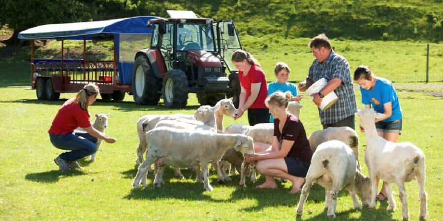 Rotorua Adventures Private Tour - The Value of the Experience