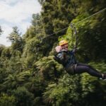 Rotorua Canopy Tours: 2.5Hour Native Forest Zipline Adventure - The Heart of the Experience: Ziplining from Tree to Tree