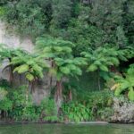 Rotorua: Evening Big Kanu Starlight Tour - The Glowworm Cave Experience