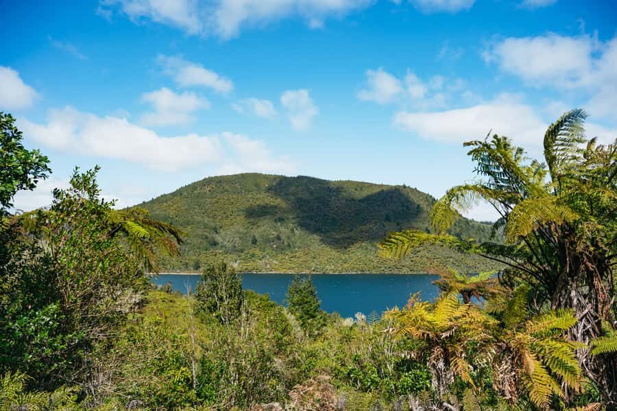 Rotorua: Explore The Lakes Half-Day Morning Tour - The Practicalities: What to Expect