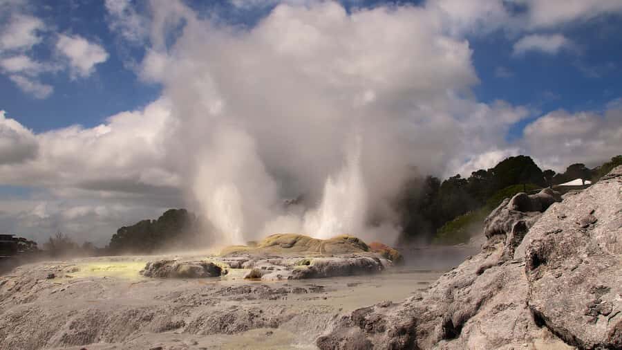 Rotorua: Glowworm Cave, Redwoods Forest & Te Puia Tour - Deep Dive into the Details