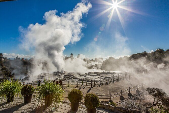 Rotorua Highlights Inc. Te Puia & Secret Spot Hot Tubs Day Tour - Why This Tour Works Well