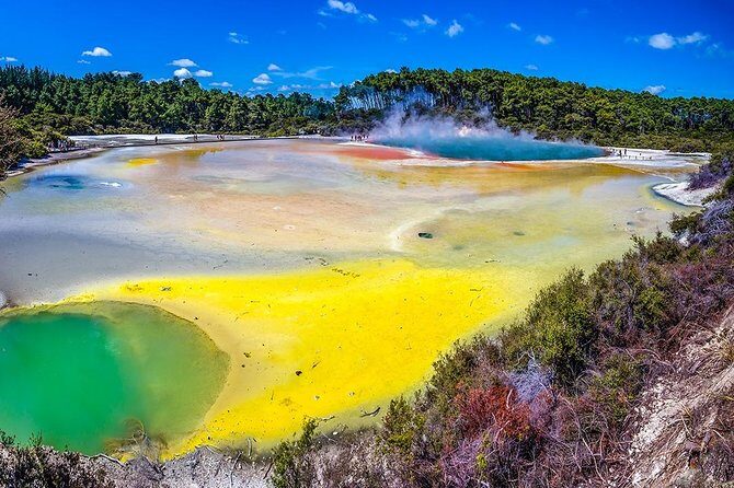 Rotorua Highlights Tour from Auckland with Optional Extras - Practical Details